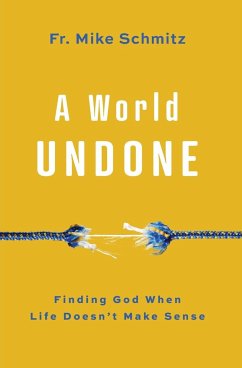 World Undone - Schmitz, Fr Mike