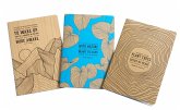 Conservation Sewn Notebook Collection (Set of 3): Large (Notebook with Lined Pages)