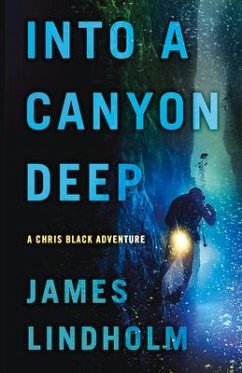 Into a Canyon Deep - Lindholm, James