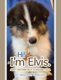 Hi! I'm Elvis.