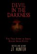 Devil in the Darkness - Bild 1