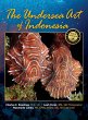 The Undersea Art of Indonesia - Bild 1