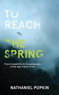 To Reach the Spring - Popkin, Nathaniel