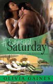 A Sensual Saturday (The Zelda Diaries) (eBook, ePUB)