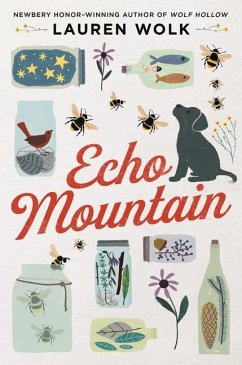 Echo Mountain - Wolk, Lauren