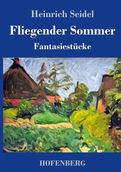 Fliegender Sommer - Seidel, Heinrich