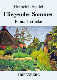 Fliegender Sommer - Seidel, Heinrich