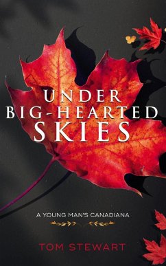 Under Big-Hearted Skies - Stewart, Tom