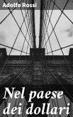 Nel paese dei dollari (eBook, ePUB)