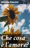 Che cosa è l'amore? (eBook, ePUB)