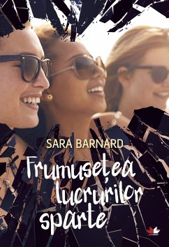 Frumuse¿ea lucrurilor sparte (eBook, ePUB) - Barnard, Sara