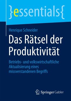 Das Rätsel der Produktivität - Schneider, Henrique
