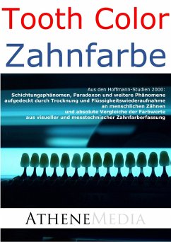 Schichtungsphänomen, Paradoxon und weitere Phänomene (eBook, PDF) - Hoffmann, André