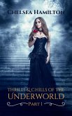 Thrills and Chills of the Underworld Part 1 (Underworld Flash Fiction, #1) (eBook, ePUB)