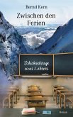 Zwischen den Ferien (eBook, ePUB)