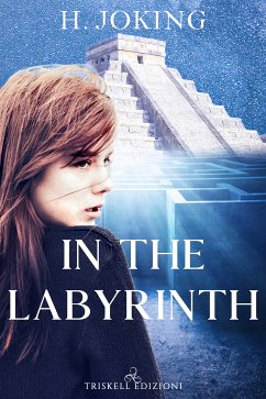 In the labyrinth (eBook, ePUB) - Joking, H.