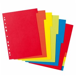 Cover Herlitz Kartonregister A4 10-teilig