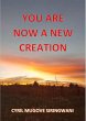 You Are Now a New Creation (eBook, ePUB) - Bild 1