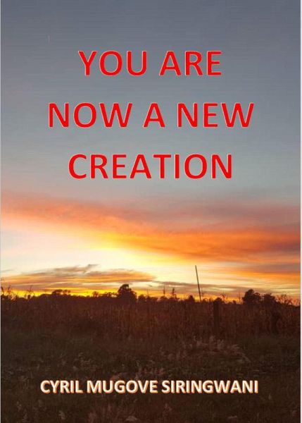 You Are Now a New Creation (eBook, ePUB)