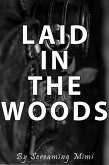 Laid in the Woods (eBook, ePUB)