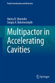 Multipactor in Accelerating Cavities (eBook, PDF)