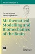Mathematical Modelling and Biomechanics... - Bild 1