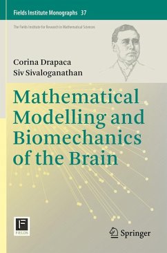 Cover Mathematical Modelling and Biomechanics of the Brain