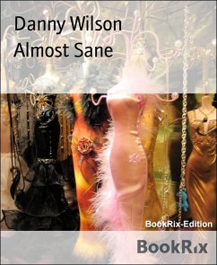 Almost Sane (eBook, ePUB) - Wilson, Danny