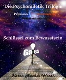 Schlüssel zum Bewusstsein (eBook, ePUB)