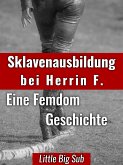 Sklavenausbildung bei Herrin F. (eBook, ePUB)