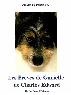 Les Brèves de Gamelle (eBook, ePUB)