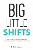 Big Little Shifts (eBook, ePUB)