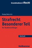 Strafrecht Besonderer Teil (eBook, PDF)