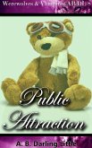 Public Attraction (eBook, ePUB)