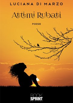 Attimi Rubati (eBook, ePUB) - Di Marzo, Luciana