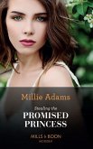 Stealing The Promised Princess (eBook, ePUB)