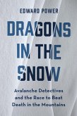 Dragons in the Snow (eBook, ePUB)