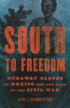 South to Freedom: Runaway Slaves to Mexico and the Road to the Civil War - Baumgartner, Alice L.