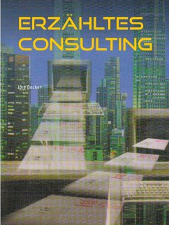 Erzähltes Consulting (eBook, ePUB)
