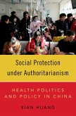 Social Protection under Authoritarianism (eBook, ePUB)