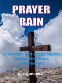 Prayer rain (eBook, ePUB)