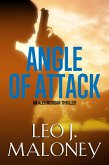 Angle of Attack (eBook, ePUB)