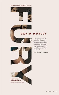 FURY (eBook, ePUB) - Morley, David