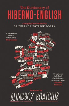 A Dictionary of Hiberno-English (eBook, ePUB) - Dolan, Terence Patrick