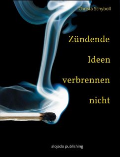 Zündende Ideen verbrennen nicht (eBook, ePUB) - Schyboll, Christa