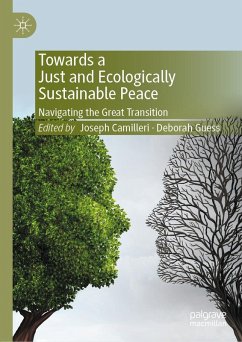 Cover Towards a Just and Ecologically Sustainable Peace (eBook, PDF)