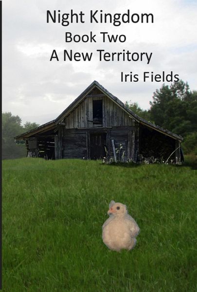 Night Kingdom, Book Two, A New Territory (eBook, ePUB)