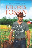 Spring at Saddle Run (eBook, ePUB)