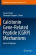 Calcitonin Gene-Related Peptide (CGRP)... - Bild 1