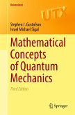 Mathematical Concepts of Quantum Mechanics